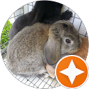 Hailey Simmons profile picture